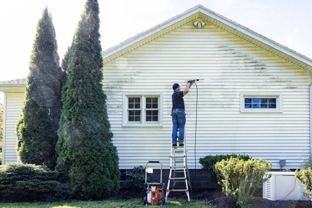 Best Window and Screen Pressure Cleaning in Apopka, FL